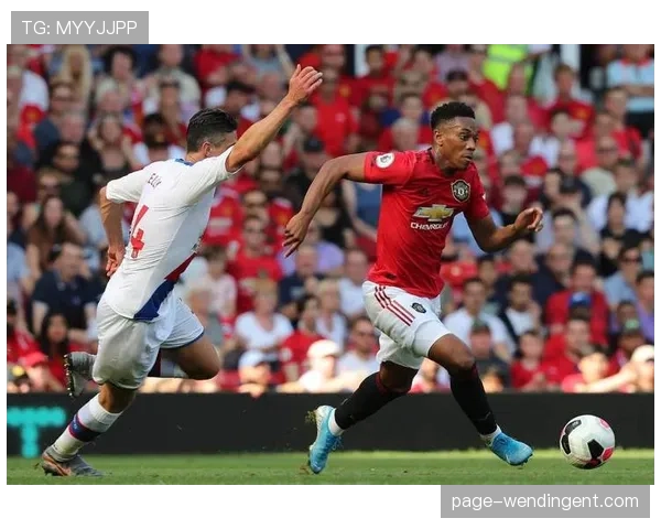 水晶宫防守组织分析 十人应战仍保持零封完成绝杀